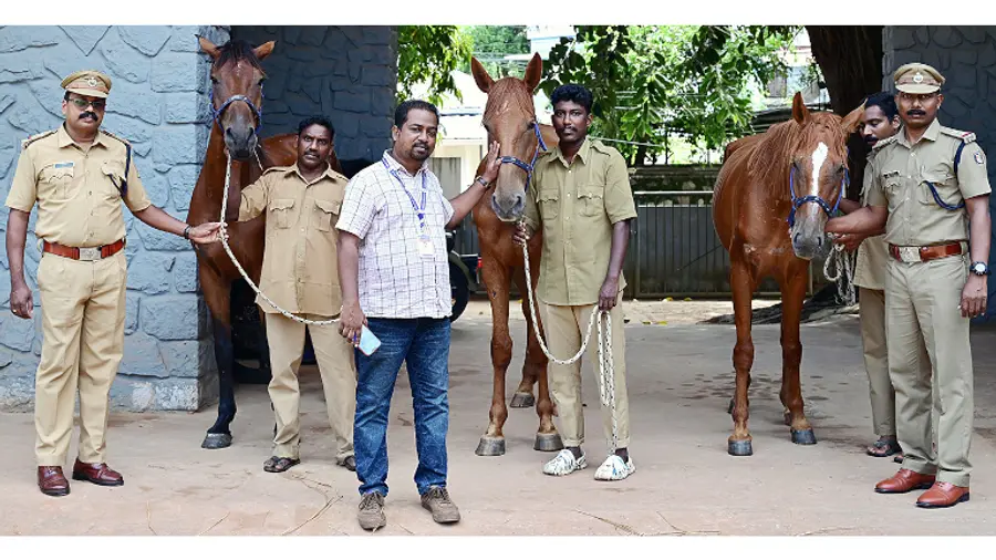 റിസർവ് സബ് ഇൻസ്പെക്ടർമാരായ വി പി ബിജു, എം എ അനൂപ്, പൊലീസ് വെറ്ററിനറി സർജൻ ബി എസ് സുമൻ എന്നിവർ പുതുതായി എത്തിച്ച കുതിരകൾക്കൊപ്പം ഫോട്ടോ/ നിലിയ വേണുഗോപാൽ