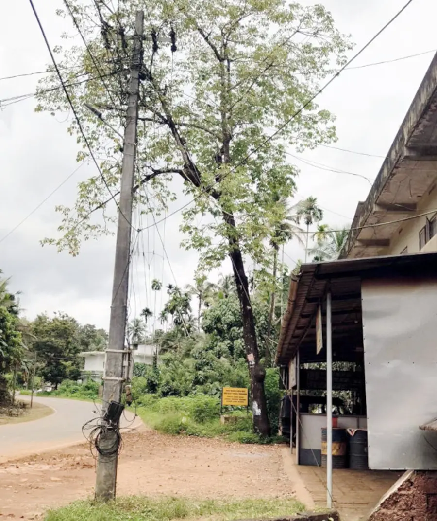 കാലിക്കടവ് റേഷൻകടയ്ക്ക് മുന്നിൽ റോഡിലേക്ക് ചാഞ്ഞ് വൈദ്യുതി ലൈനിന്
മുകളിൽ നിൽക്കുന്ന മരം