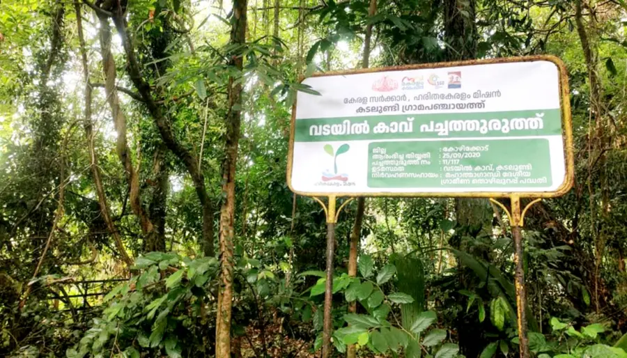 കാവ് വിഭാഗത്തില്‍ പുരസ്കാരം നേടിയ കടലുണ്ടി വടയില്‍ കാവ് പച്ചത്തുരുത്ത്