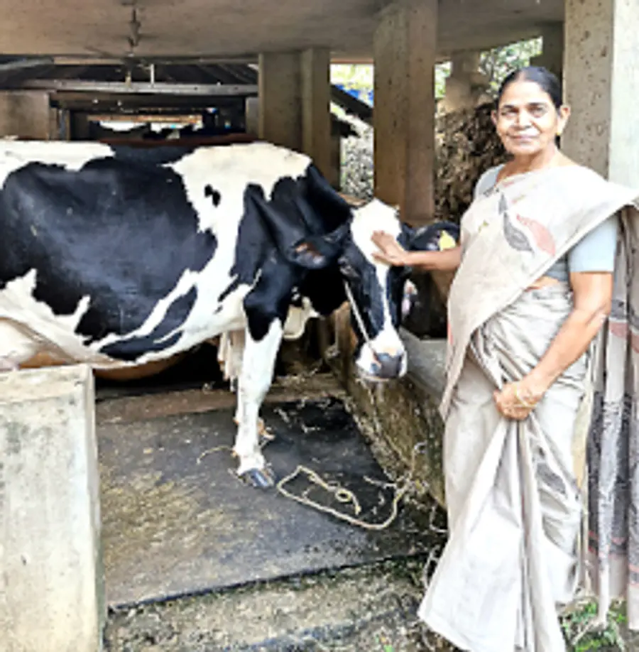 വരക്കാട്ടെ കെ ജാനകി തന്റെ പശുഫാമിൽ 