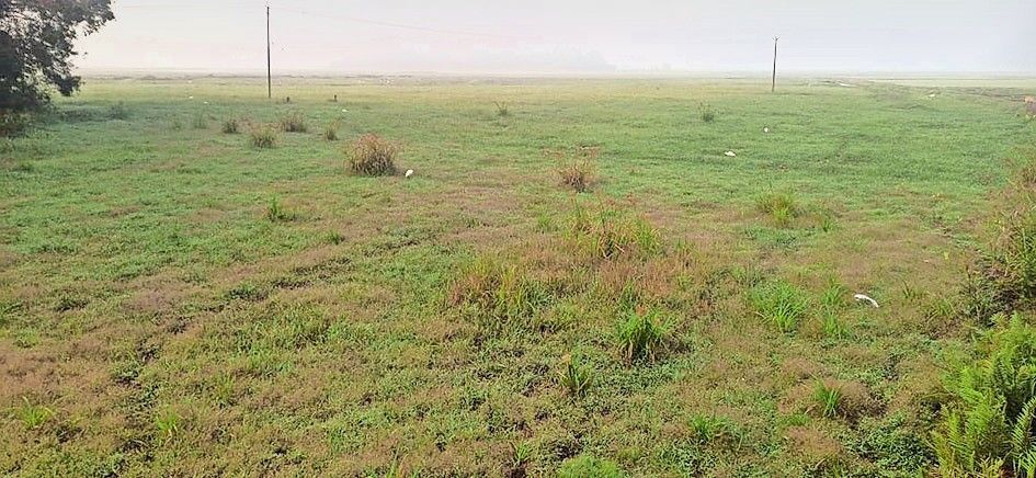  കൃഷി 