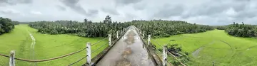 പച്ചപ്പട്ടുടുത്ത് മയ്യിൽ പഴയ വില്ലേജ് ഓഫീസ് പരിസരത്തെ അക്വഡറ്റ് പാലത്തിൽ നിന്നുള്ള പ്രകൃതിയുടെ പനോരമിക് ചിത്രം. ഫോട്ടോ: പി ദിലീപ് കുമാർ