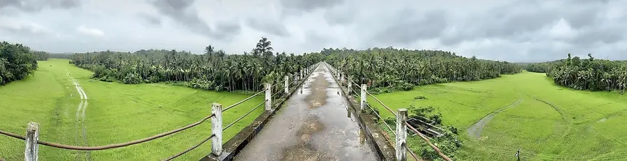 പച്ചപ്പട്ടുടുത്ത് മയ്യിൽ പഴയ വില്ലേജ് ഓഫീസ് പരിസരത്തെ അക്വഡറ്റ് പാലത്തിൽ നിന്നുള്ള പ്രകൃതിയുടെ പനോരമിക് ചിത്രം. ഫോട്ടോ: പി ദിലീപ് കുമാർ
