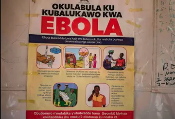 ebola