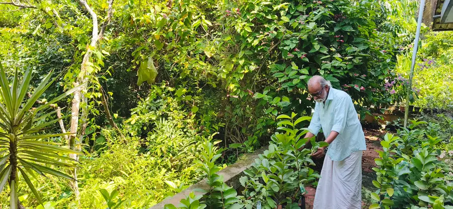 എം എം നാരായണൻ കൃഷിയിടത്തിൽ