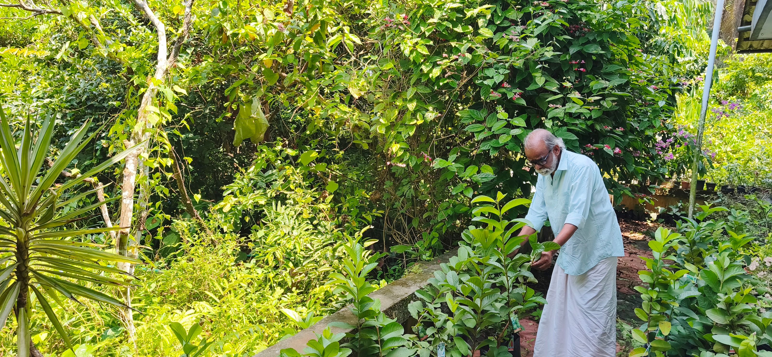 എം എം നാരായണൻ കൃഷിയിടത്തിൽ