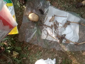പാടിയോട്ടുചാൽ ഞെക്ലിയിൽ കടന്നപ്പള്ളി സ്വദേശി അബൂബക്കറിന്റെ  റബർ തോട്ടത്തിൽ കണ്ടെത്തിയ തലയോട്ടിയും അസ്ഥികളും