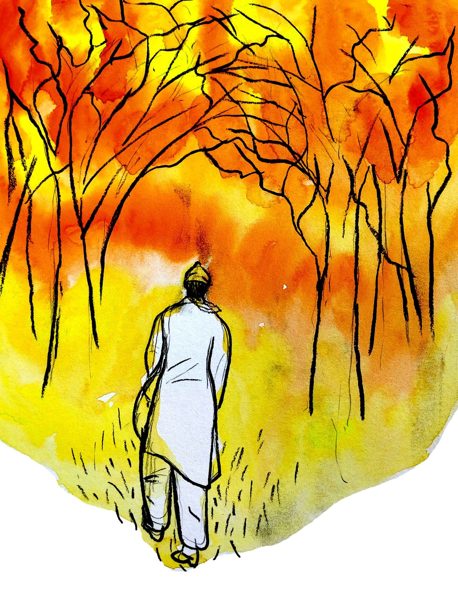 ചിത്രീകരണം: സുനിൽ അശോകപുരം