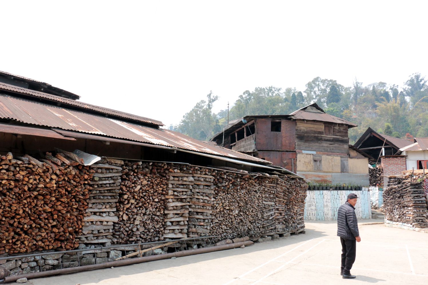 നീണ്ട മതിൽപോലെ അടുക്കിവച്ചിരിക്കുന്ന വിറകുകൾ
