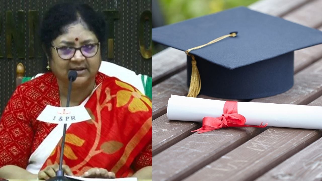 4 year degree
