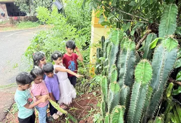 ചന്തേര കുനുത്തൂരിലുള്ള കള്ളിമുൾ ചെടികൾ കാണുന്ന വിദ്യാർഥികൾ