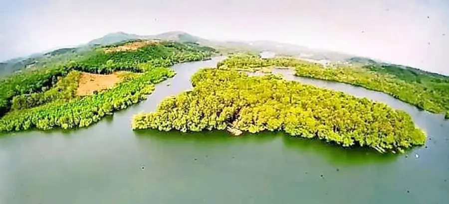 എടക്കാനം റിവർ വ്യൂ പോയന്റിലെ അകംതുരുത്തി ദ്വീപിന്റെ ആകാശദൃശ്യം