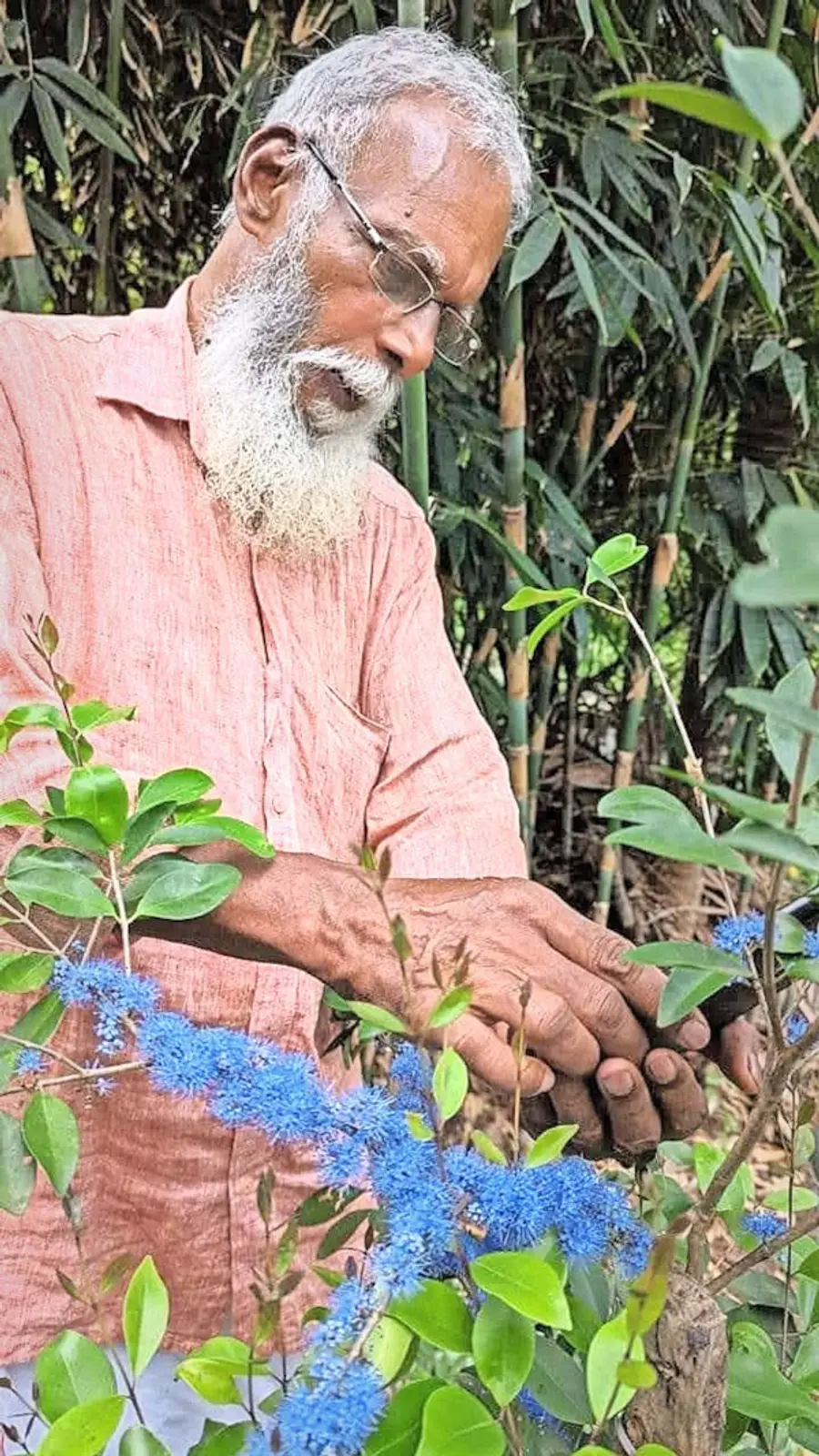 പുരയിടത്തിലെ  കായാമ്പൂ ചെടിക്കൊപ്പം  മുട്ടത്തില്‍ ജോർജ്