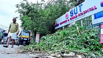 മണക്കാട് എസ്-യുടി ആശുപത്രിക്കു മുന്നിൽ കാൽനടയാത്രികർക്ക്
ബുദ്ധിമുട്ടാകുംവിധം മുറിച്ചിട്ട മരച്ചില്ലകൾ