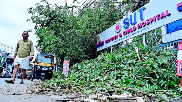 മണക്കാട് എസ്-യുടി ആശുപത്രിക്കു മുന്നിൽ കാൽനടയാത്രികർക്ക്
ബുദ്ധിമുട്ടാകുംവിധം മുറിച്ചിട്ട മരച്ചില്ലകൾ