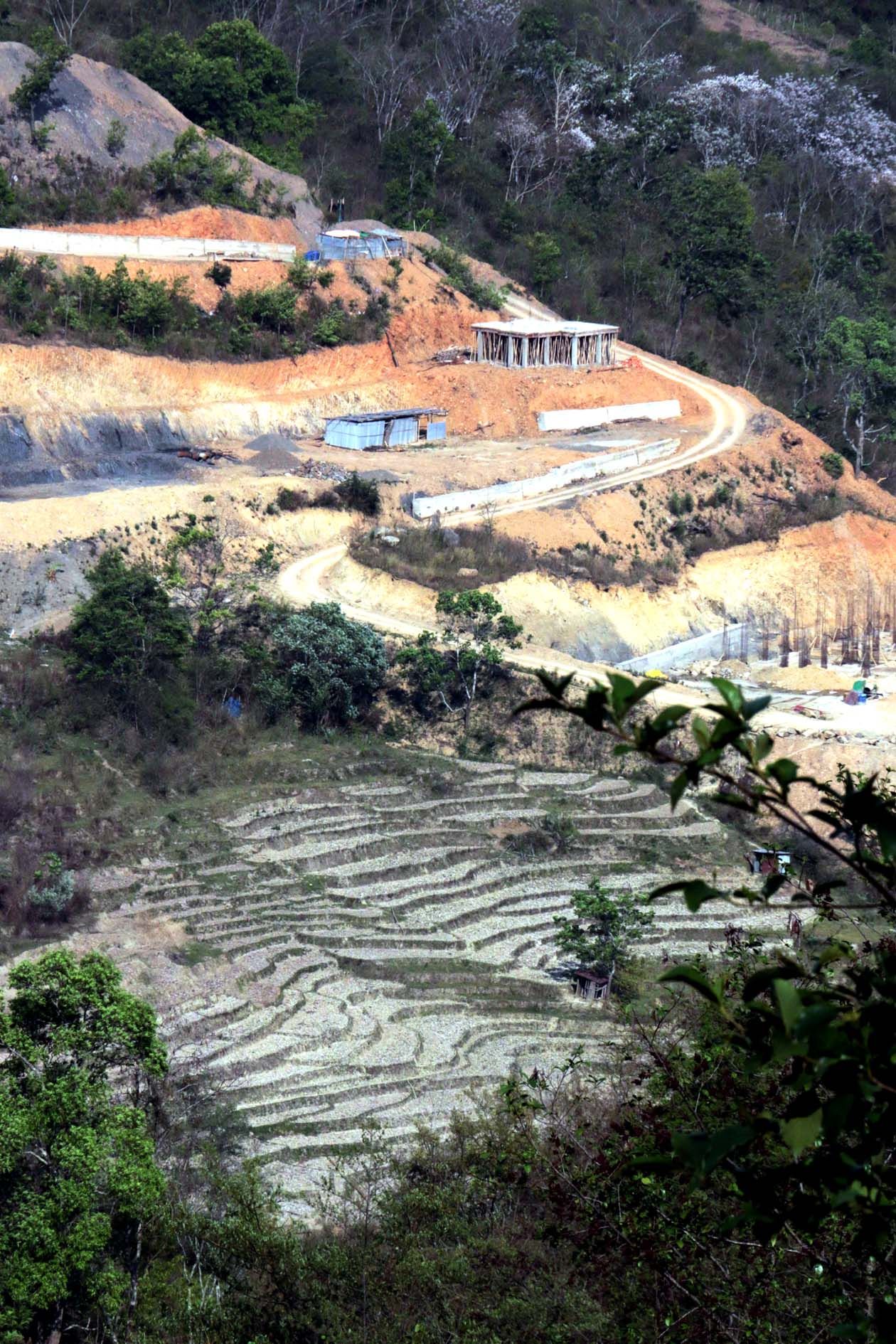 നാഗാമലകളിലെ ചെരിവിന് കുറുകെ നിരപ്പുകളായി തിരിച്ച തട്ടുകളുടെ വരമ്പുകൾ