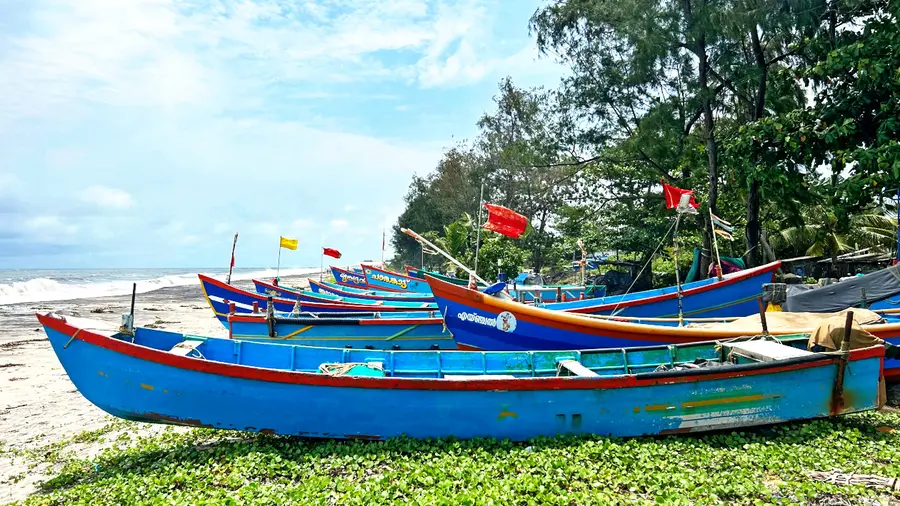 ആലപ്പുഴ തീരത്ത് കരയ്ക്ക് കയറ്റിയിട്ട പരമ്പരാഗത മത്സ്യബന്ധന വള്ളങ്ങൾ