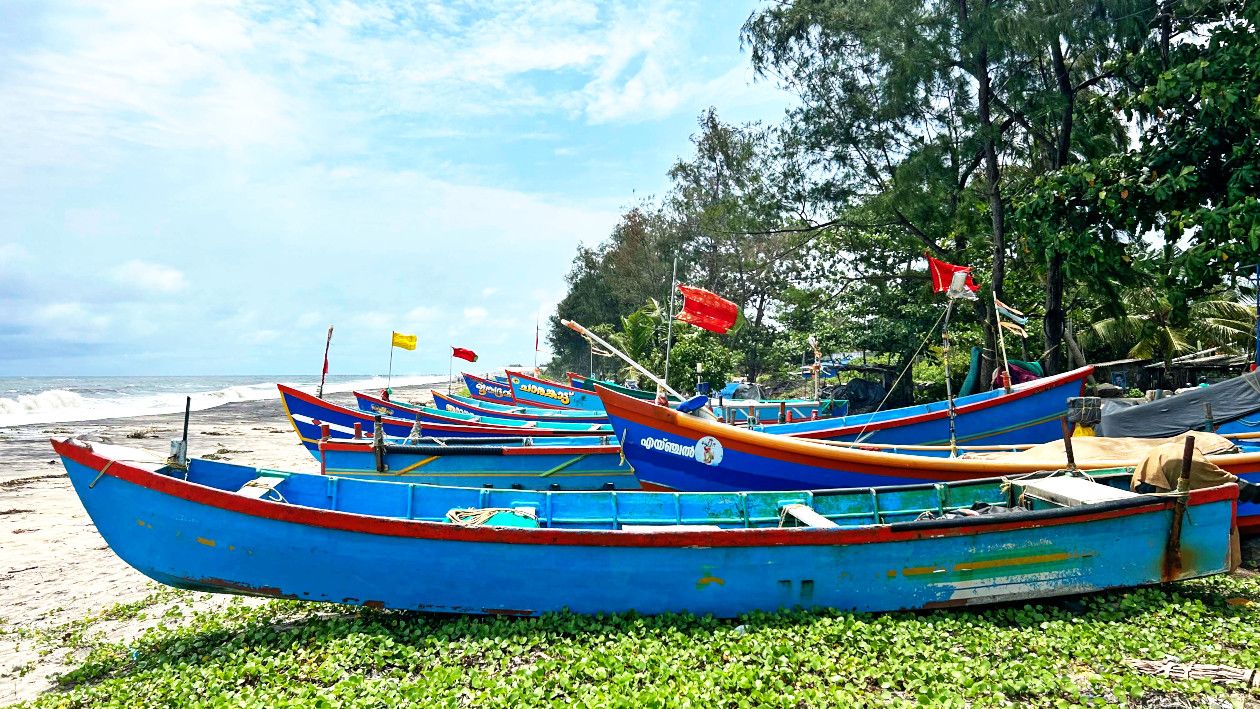 ആലപ്പുഴ തീരത്ത് കരയ്ക്ക് കയറ്റിയിട്ട പരമ്പരാഗത മത്സ്യബന്ധന വള്ളങ്ങൾ 