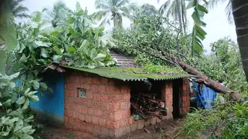 കരുളായി പഞ്ചായത്തിൽ
ചുഴലിക്കാറ്റിൽ മരം വീണ്
തകർന്ന വീട്