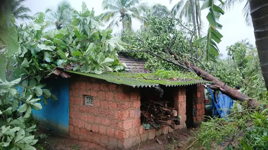 കരുളായി പഞ്ചായത്തിൽ
ചുഴലിക്കാറ്റിൽ മരം വീണ്
തകർന്ന വീട്