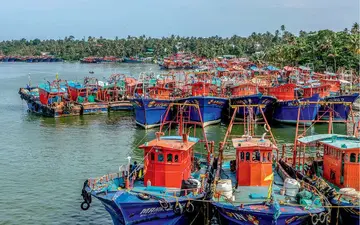 Boats back to sea