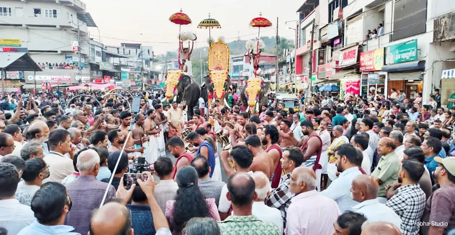 ചെർപ്പുളശേരി പുത്തനാൽക്കൽ ഭഗവതി ക്ഷേത്രത്തിലെ കാളവേലാഘോഷത്തിന്റെ ഭാഗമായി നടന്ന പകൽപ്പൂരം 