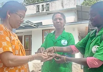 സ്വർണ കമ്മൽ