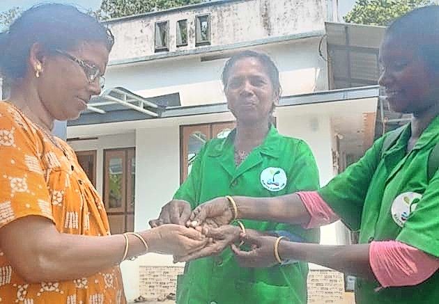 സ്വർണ കമ്മൽ
