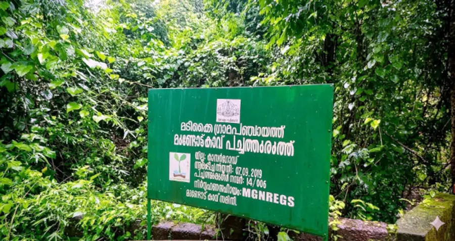 മടിക്കൈ പഞ്ചായത്തിലെ മുണ്ടോട്ടുകാവ് പച്ചത്തുരുത്ത്