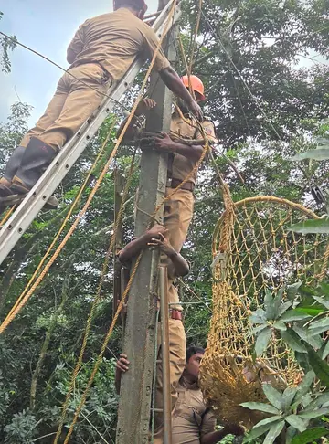 അഗ്നിശമനസേന