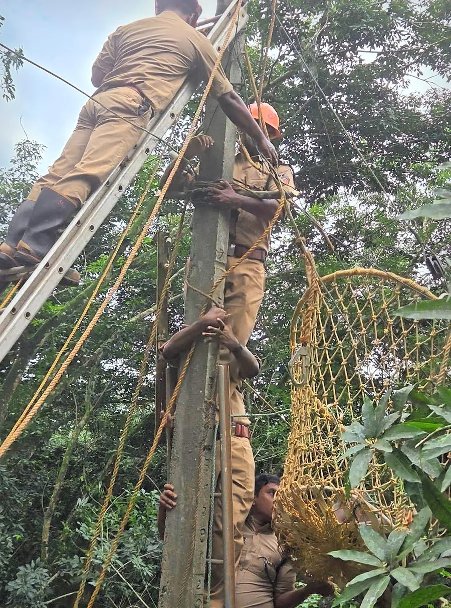 അഗ്നിശമനസേന