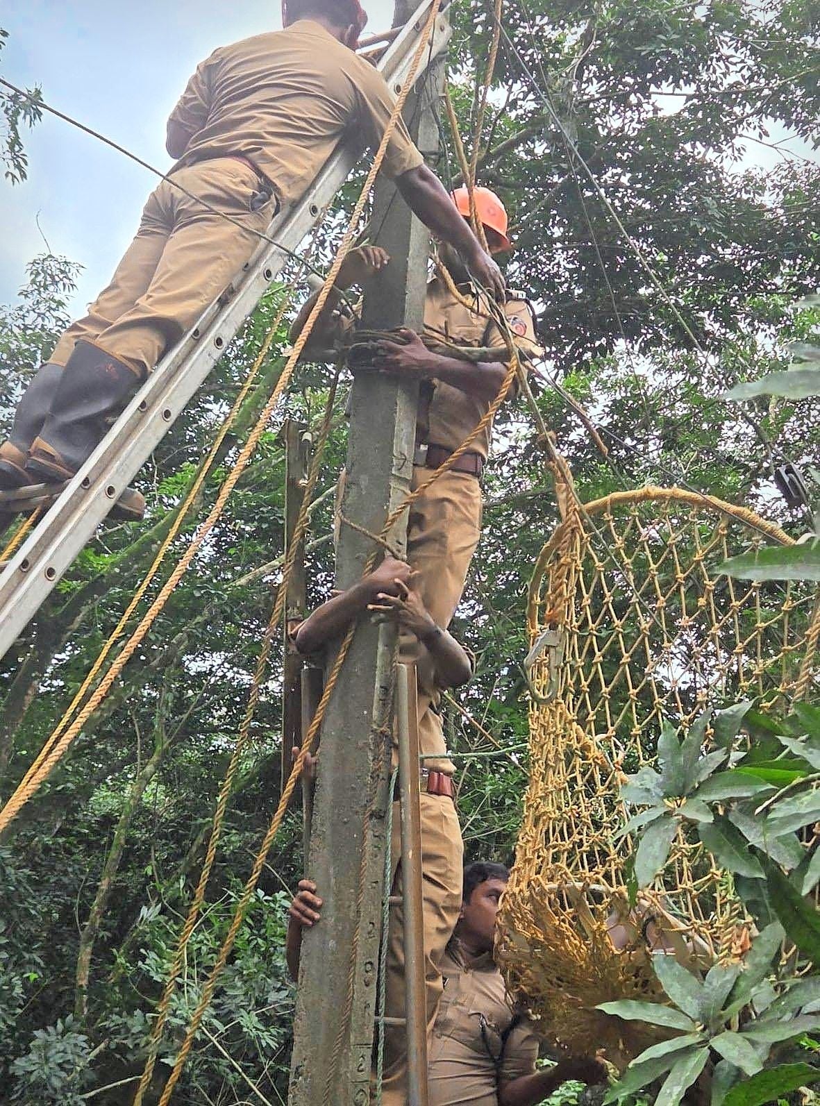 അഗ്നിശമനസേന