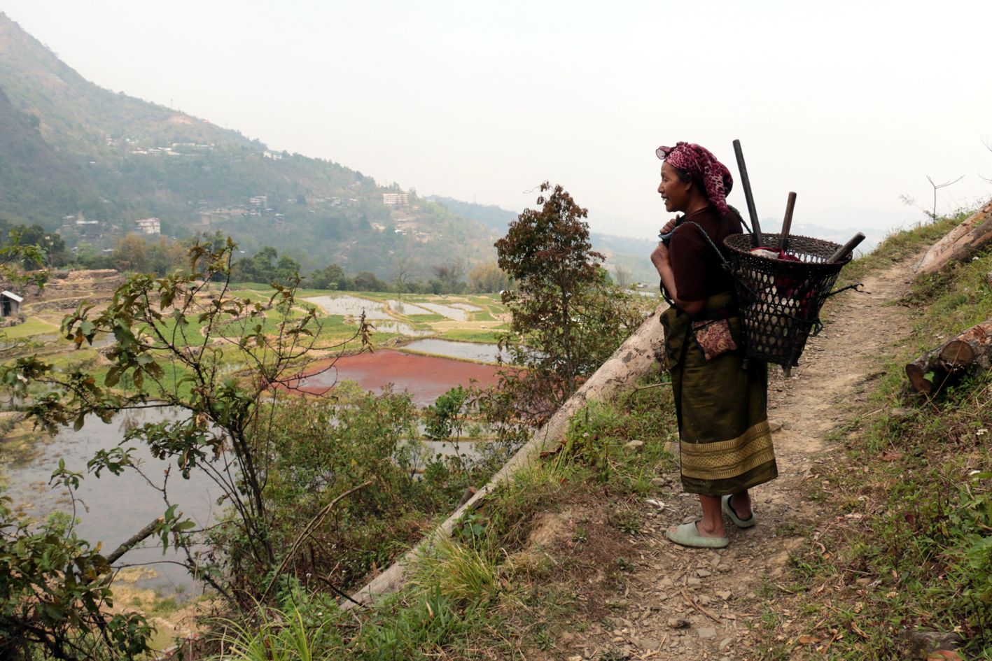 കിഗ്വേമാ ഗ്രാമത്തിലെ മലയുടെ താഴ്‌വാരത്തിലെ പാടങ്ങൾ