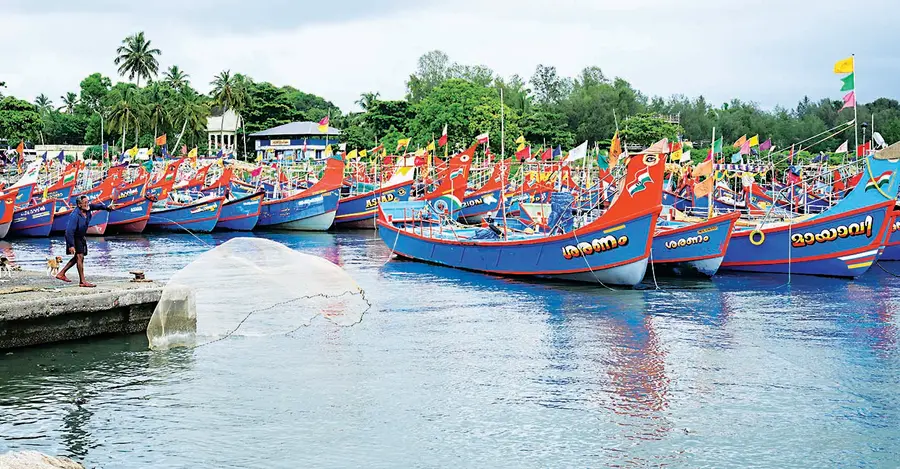ട്രോളിങ് നിരോധം ആരംഭിക്കുന്നതിന്റെ ഭാഗമായി ആലപ്പുഴ തോട്ടപ്പള്ളി ഫിഷിങ് ഹാർബറിൽ അടുപ്പിച്ച മീൻപിടിത്ത ബോട്ടുകൾ ഫോട്ടോ :ജിഷ്ണു പൊന്നപ്പൻ