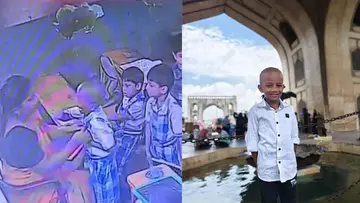 6 year