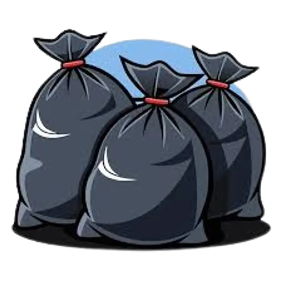 പാഴ്വസ്തു