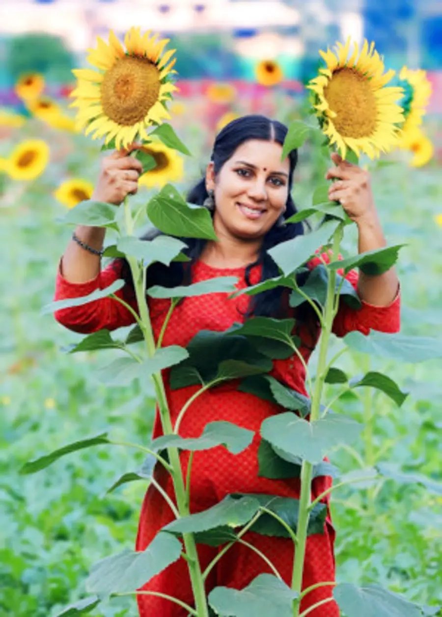 എം ശ്രീവിദ്യ