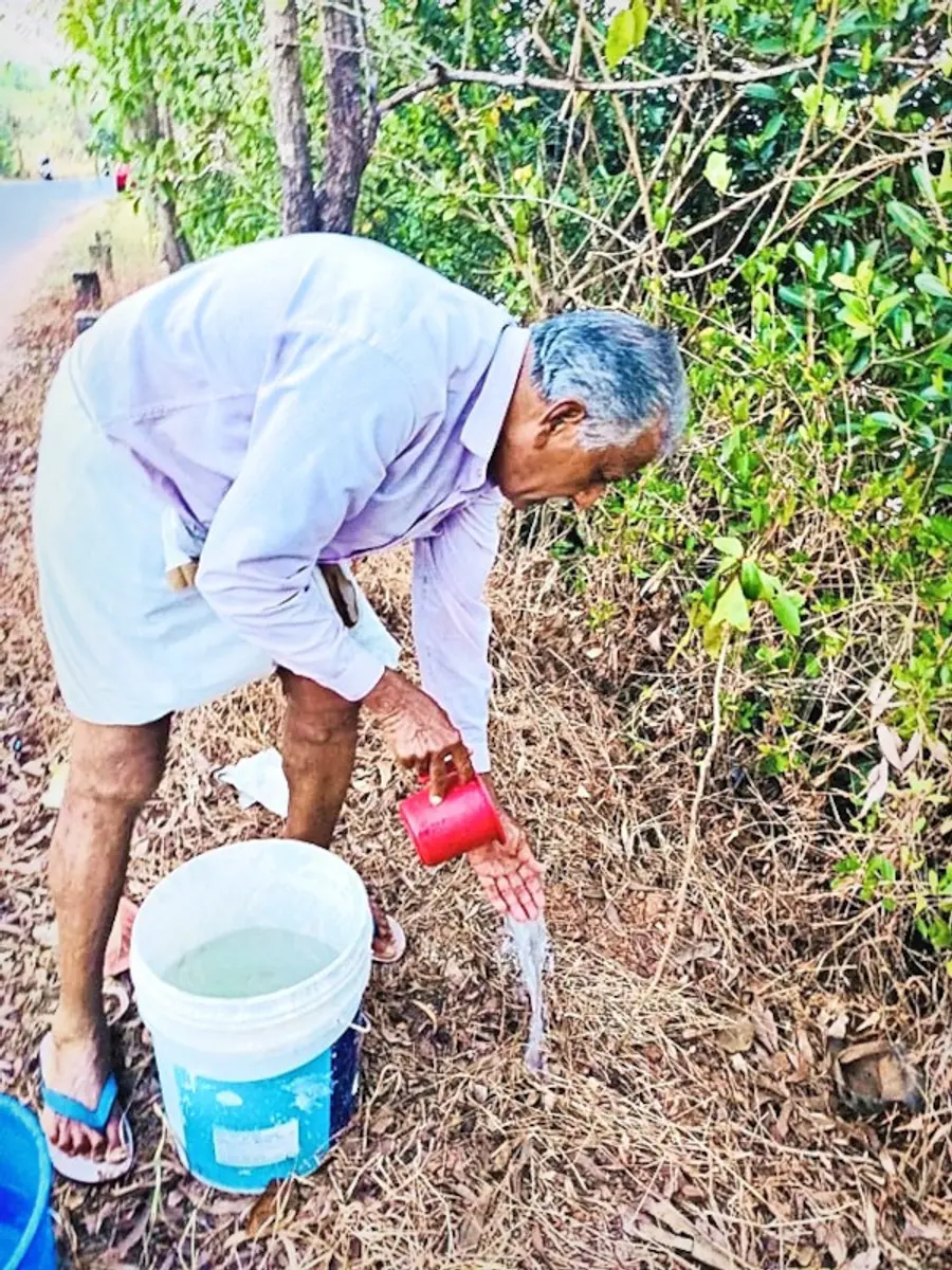 വാരംകടവ് റോഡരികിലെ ചെറുതൈകൾക്ക്
വെള്ളമൊഴിക്കുന്ന വത്സൻ