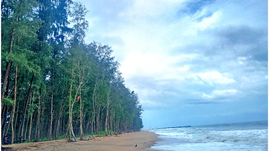 Choolamarakkadu