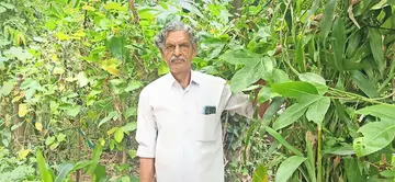 പെരളത്തെ റിട്ട. കൃഷി അസിസ്‌റ്റന്റ്‌ എ വി നാരായണൻ സ്വന്തമായി ഒരുക്കിയെടുത്ത കാവിനകത്ത്