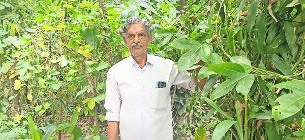 പെരളത്തെ റിട്ട. കൃഷി അസിസ്‌റ്റന്റ്‌ എ വി നാരായണൻ സ്വന്തമായി ഒരുക്കിയെടുത്ത കാവിനകത്ത്