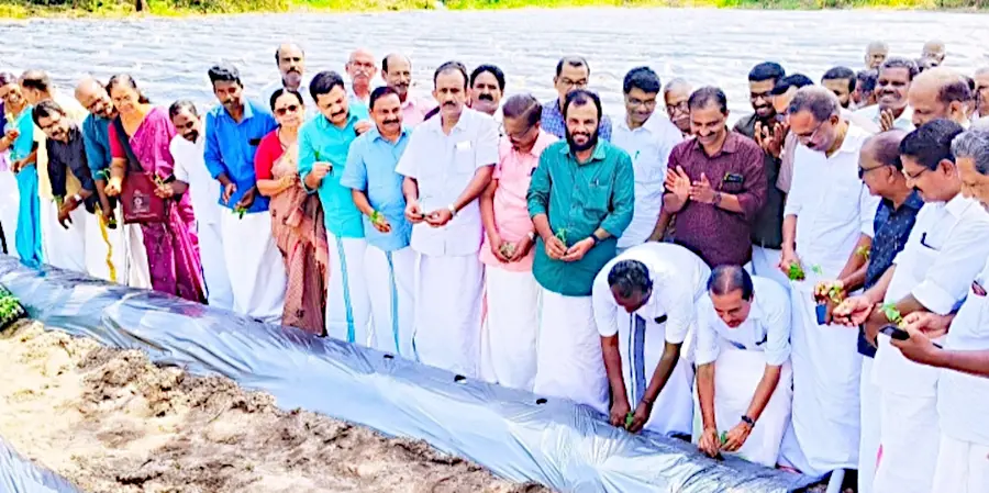 കർഷകസംഘം സംസ്ഥാന സമ്മേളന പ്രതിനിധികൾക്ക് ഭക്ഷണമൊരുക്കാനുള്ള പച്ചക്കറി കൃഷി സംസ്ഥാന സെക്രട്ടറി വത്സൻ പനോളി ഉദ്ഘാടനംചെയ്യുന്നു