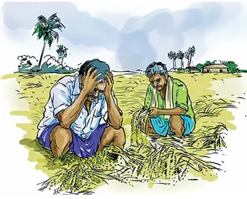 കക്ക