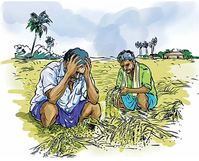 കക്ക 