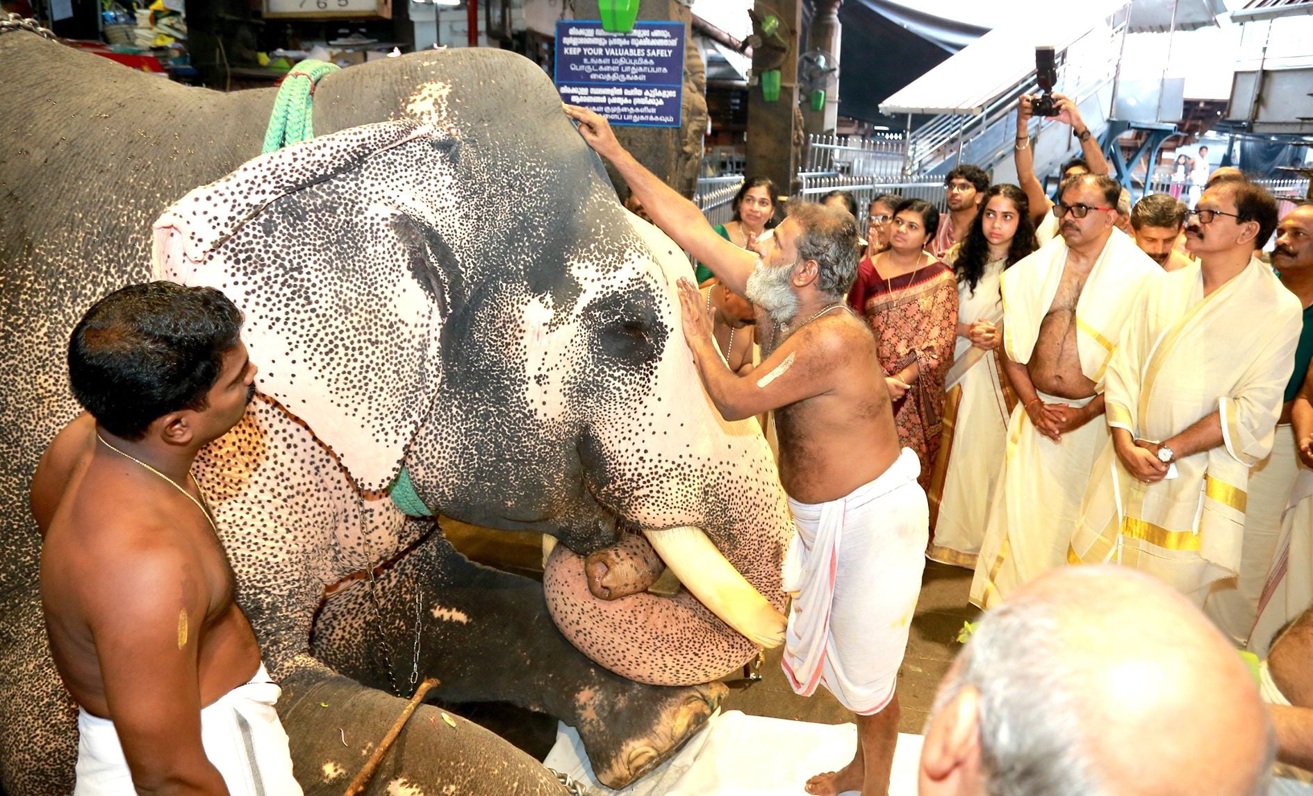 ഗുരുവായൂര്‍ ക്ഷേത്രത്തില്‍ നടന്ന പ്രതീകാത്മക ആനയെ നടയിരുത്തല്‍
