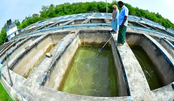 അഡാക് കരിമീൻ ഹാച്ചറി