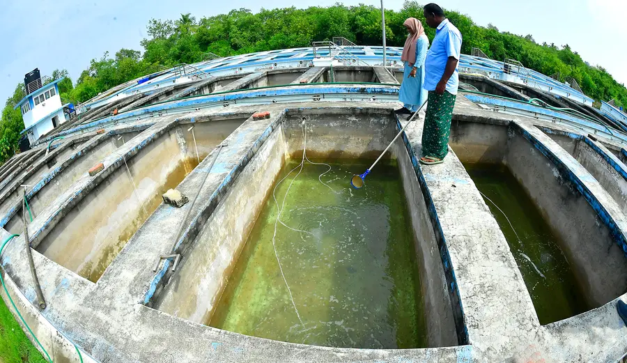 അഡാക് കരിമീൻ ഹാച്ചറി