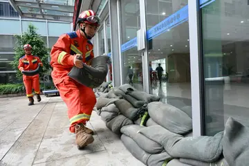 typhoon bavi
