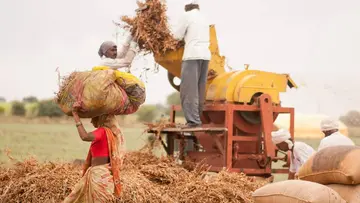 AGRICULTURE