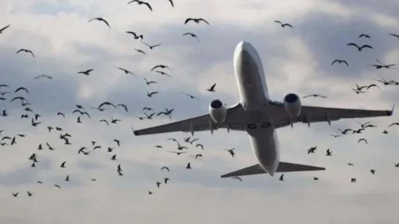 AIR